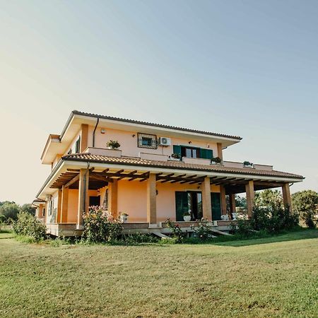 Bed And Breakfast Villa Romano Anzio Værelse billede
