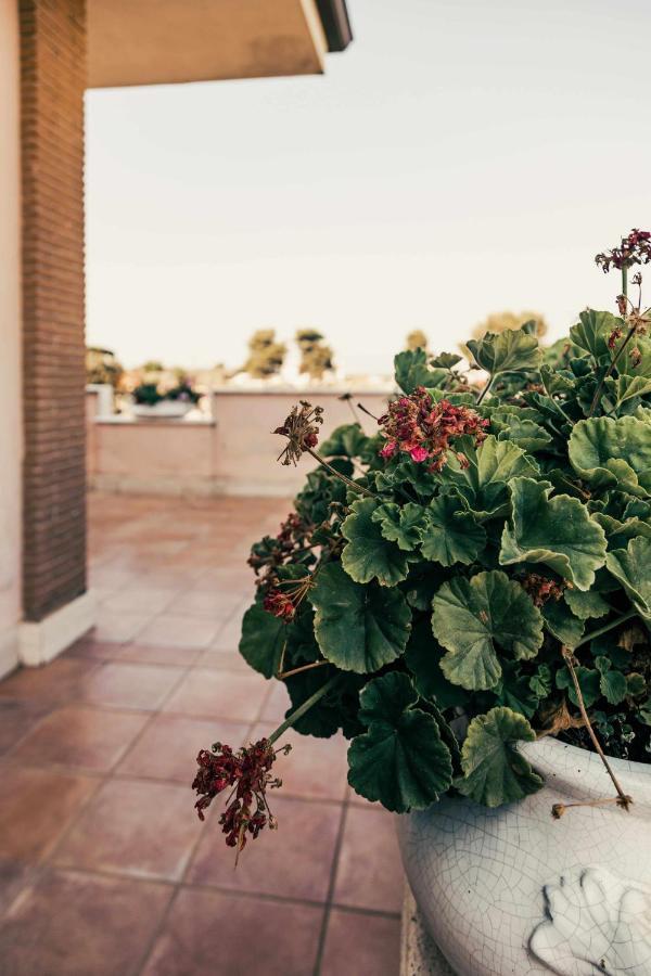 Bed And Breakfast Villa Romano Anzio Eksteriør billede